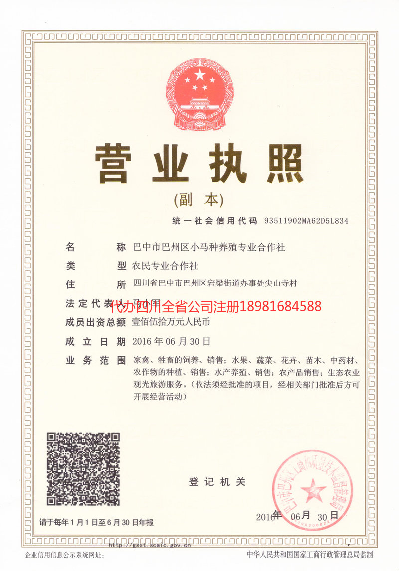 儋州儋州小马种养殖专业合作社